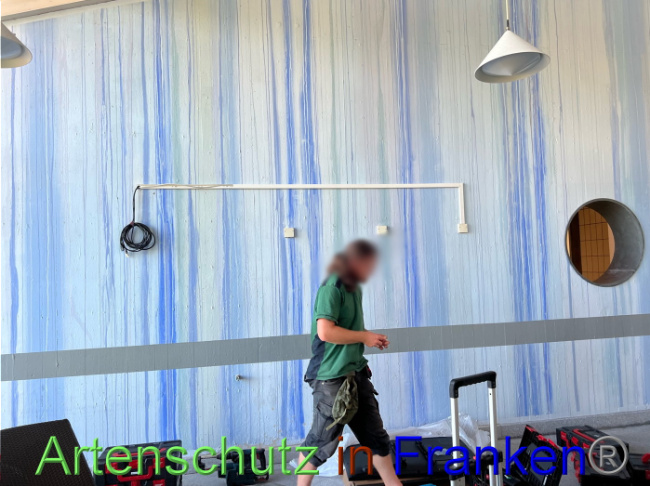 © Artenschutz in Franken® Bild zum Eintrag (1093346-160)