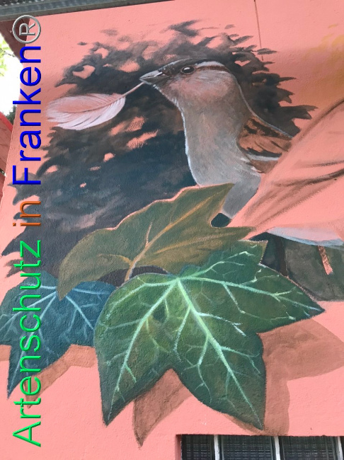 © Artenschutz in Franken® Bild zum Eintrag (1093505-160)