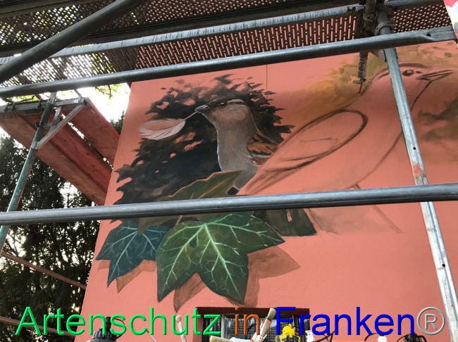 © Artenschutz in Franken® Bild zum Eintrag (1093506-160)