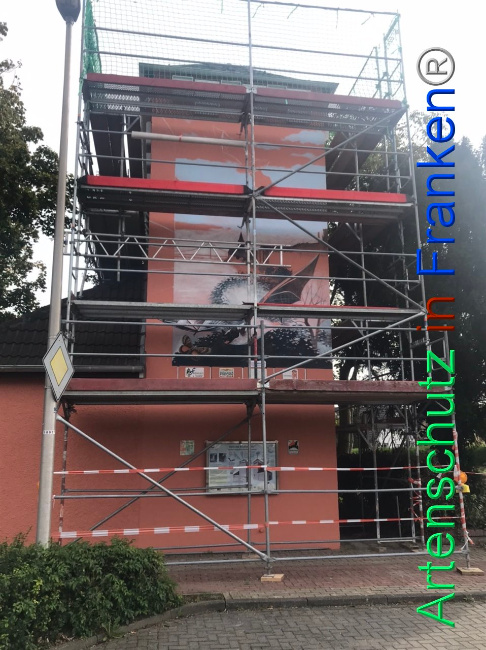 © Artenschutz in Franken® Bild zum Eintrag (1093687-160)