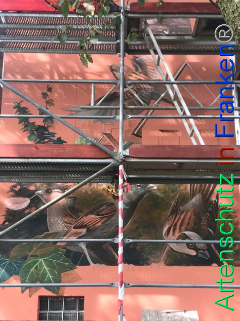 © Artenschutz in Franken® Bild zum Eintrag (1093688-160)