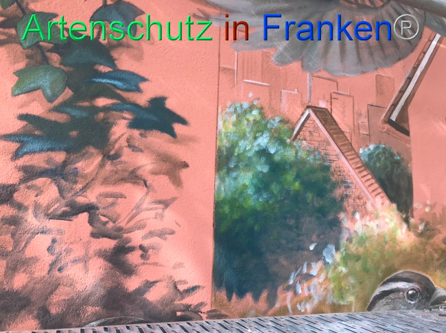 © Artenschutz in Franken® Bild zum Eintrag (1093689-160)