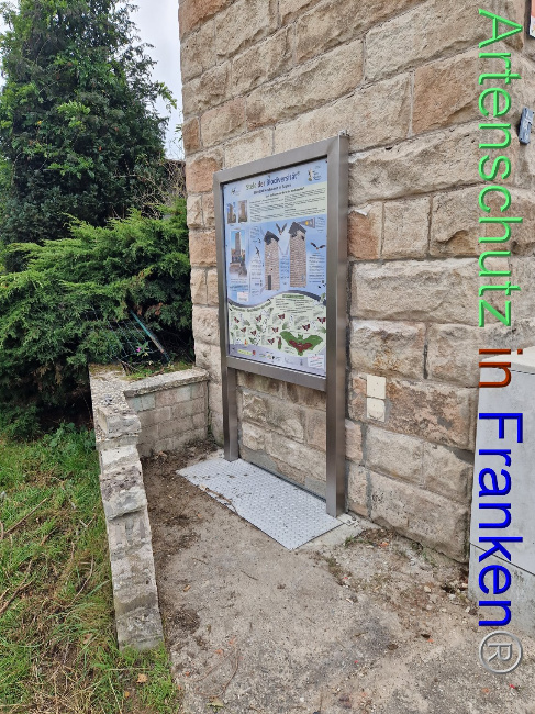 © Artenschutz in Franken® Bild zum Eintrag (1093735-160)