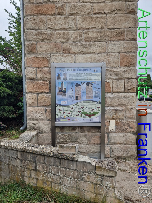 © Artenschutz in Franken® Bild zum Eintrag (1093736-160)