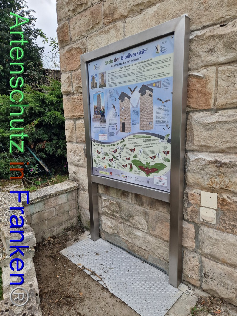 © Artenschutz in Franken® Bild zum Eintrag (1093738-160)