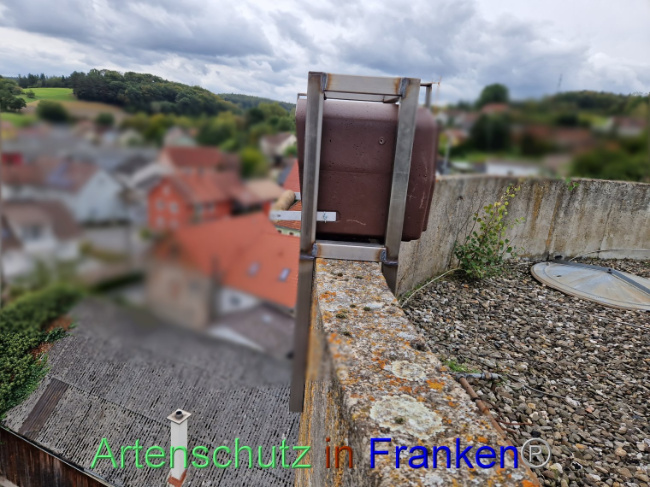 Bild zum Eintrag (1093740-160)