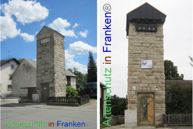 © Artenschutz in Franken® Bild zum Eintrag (1094088-160)