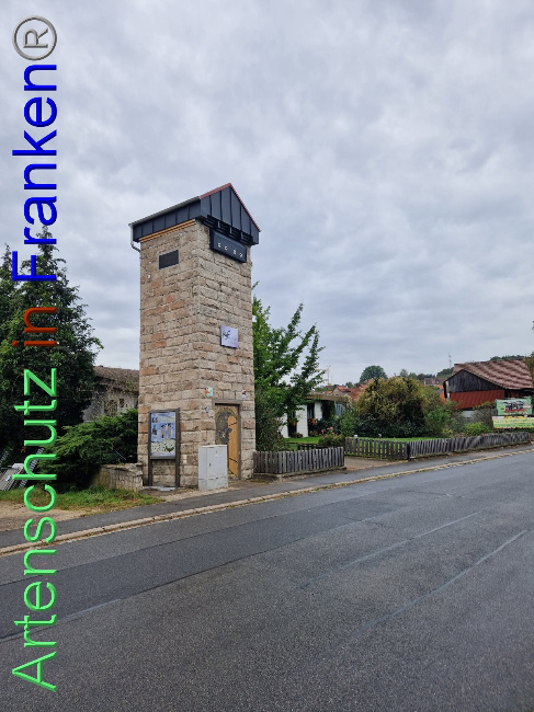 © Artenschutz in Franken® Bild zum Eintrag (1094116-160)