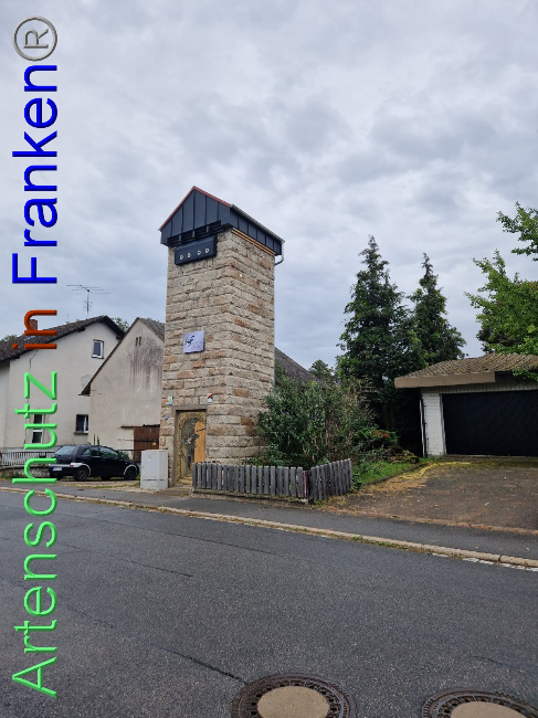 © Artenschutz in Franken® Bild zum Eintrag (1094120-160)