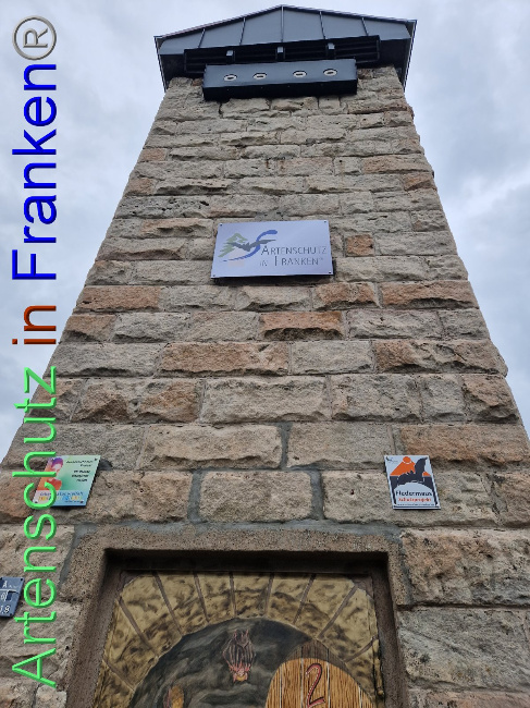 © Artenschutz in Franken® Bild zum Eintrag (1094126-160)