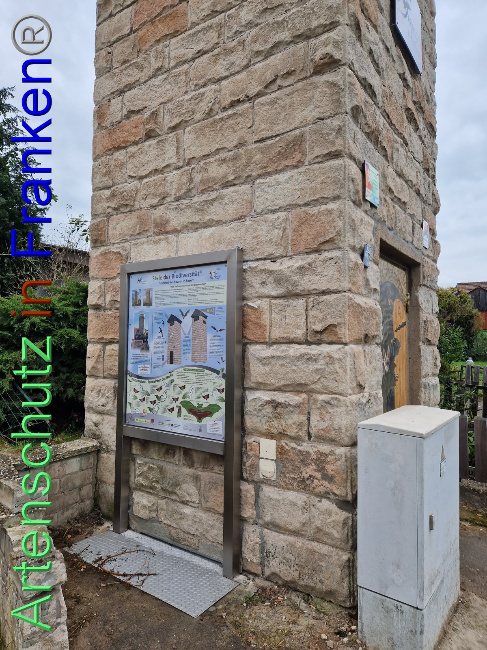 © Artenschutz in Franken® Bild zum Eintrag (1094127-160)