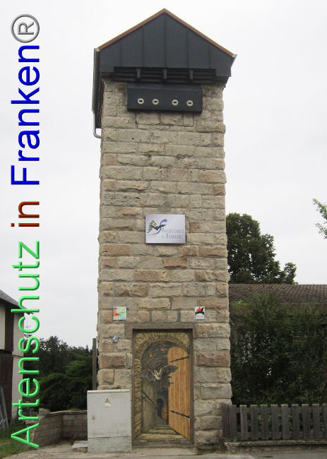 © Artenschutz in Franken® Bild zum Eintrag (1094132-160)