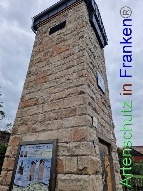 © Artenschutz in Franken® Bild zum Eintrag (1094133-160)