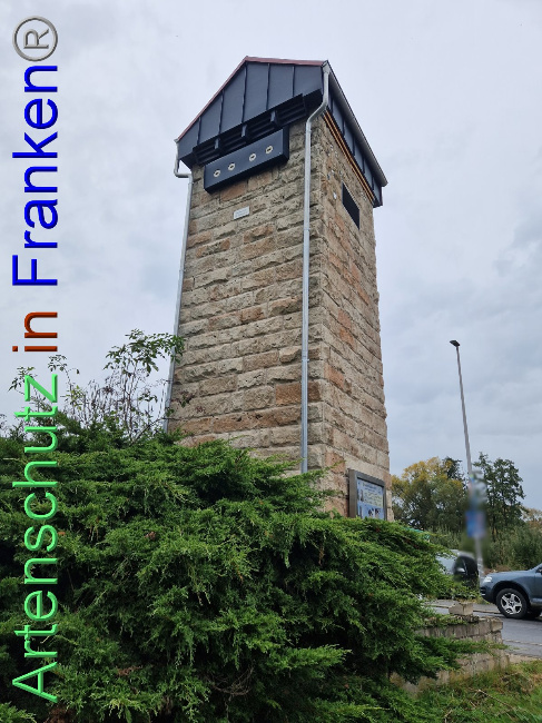 © Artenschutz in Franken® Bild zum Eintrag (1094134-160)