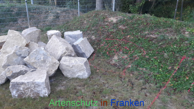 Bild zum Eintrag (1094151-160)