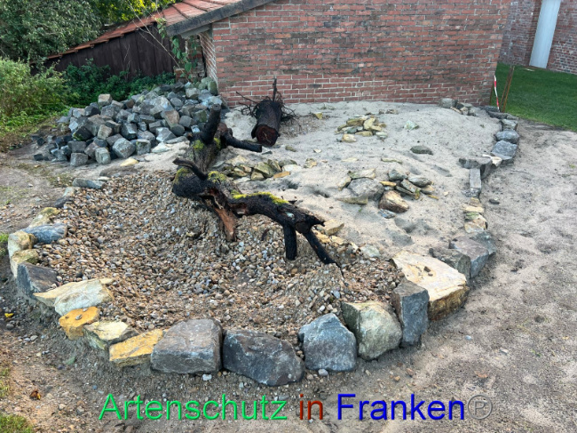 © Artenschutz in Franken® / Vennemann Bild zum Eintrag (1094173-160)