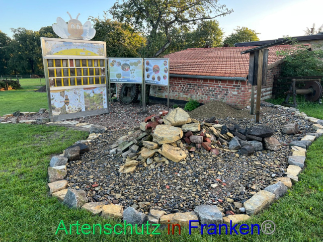 © Artenschutz in Franken® / Vennemann Bild zum Eintrag (1094175-160)