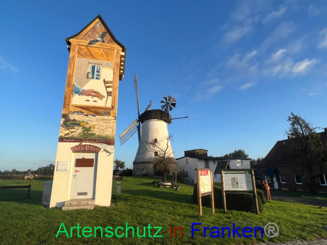 © Artenschutz in Franken® / Vennemann Bild zum Eintrag (1094177-160)