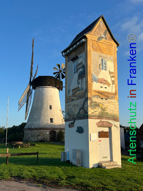 © Artenschutz in Franken® Bild zum Eintrag (1094180-160)
