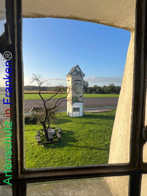 © Artenschutz in Franken® Bild zum Eintrag (1094181-160)