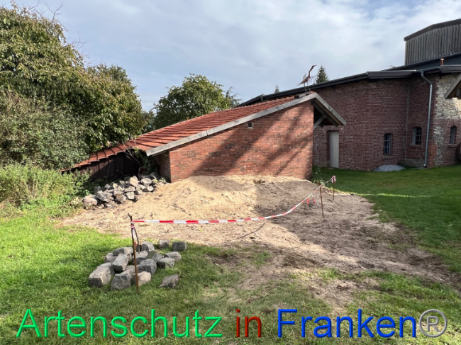 Bild zum Eintrag (1094199-160)