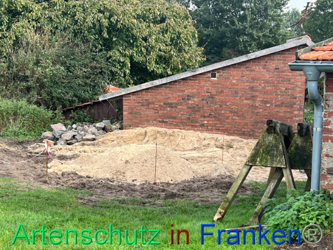 © Artenschutz in Franken® / Vennemann Bild zum Eintrag (1094204-160)