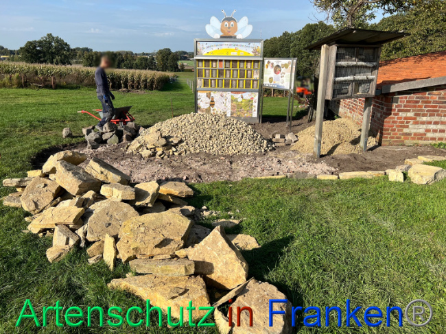 © Artenschutz in Franken® / Vennemann Bild zum Eintrag (1094205-160)