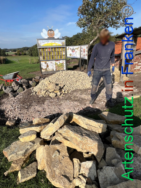© Artenschutz in Franken® / Vennemann Bild zum Eintrag (1094206-160)
