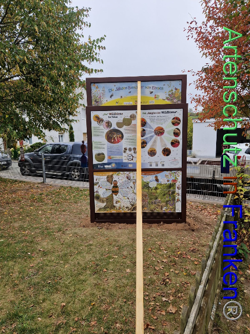 © Artenschutz in Franken® Bild zum Eintrag (1094232-160)