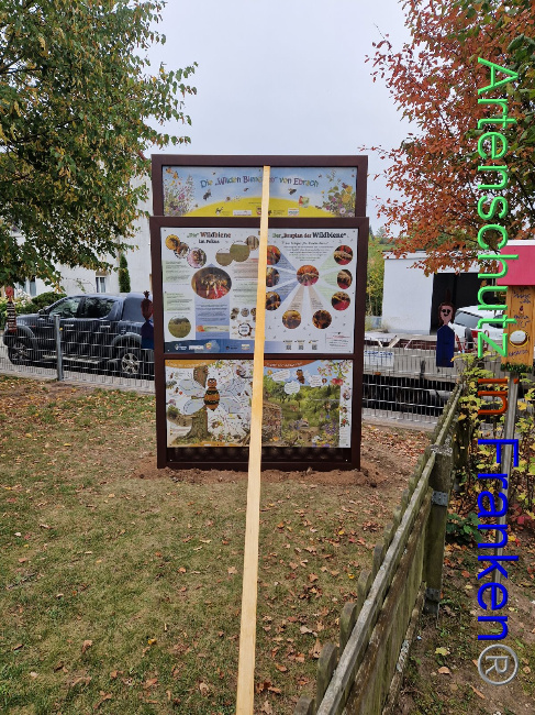 © Artenschutz in Franken® Bild zum Eintrag (1094233-160)