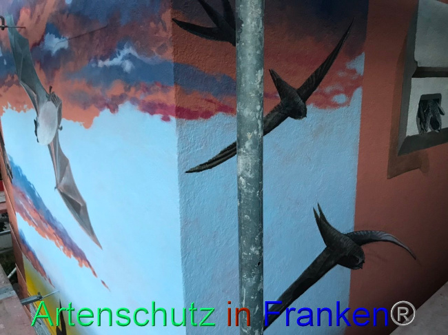 © Artenschutz in Franken® Bild zum Eintrag (1094250-160)