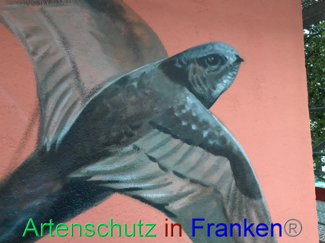 Bild zum Eintrag (1094255-160)