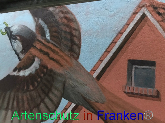 © Artenschutz in Franken® Bild zum Eintrag (1094259-160)