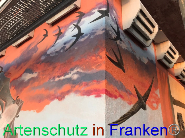 © Artenschutz in Franken® Bild zum Eintrag (1094272-160)