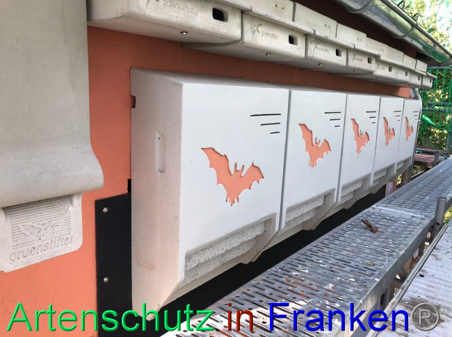 © Artenschutz in Franken® Bild zum Eintrag (1094273-160)