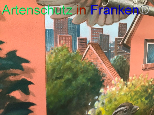 © Artenschutz in Franken® Bild zum Eintrag (1094276-160)