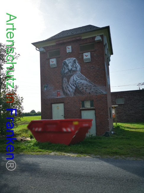 © Artenschutz in Franken® Bild zum Eintrag (1094281-160)