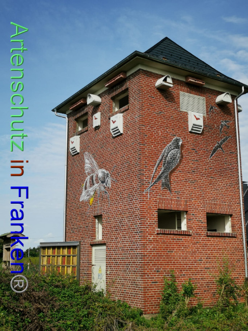 © Artenschutz in Franken® Bild zum Eintrag (1094282-160)