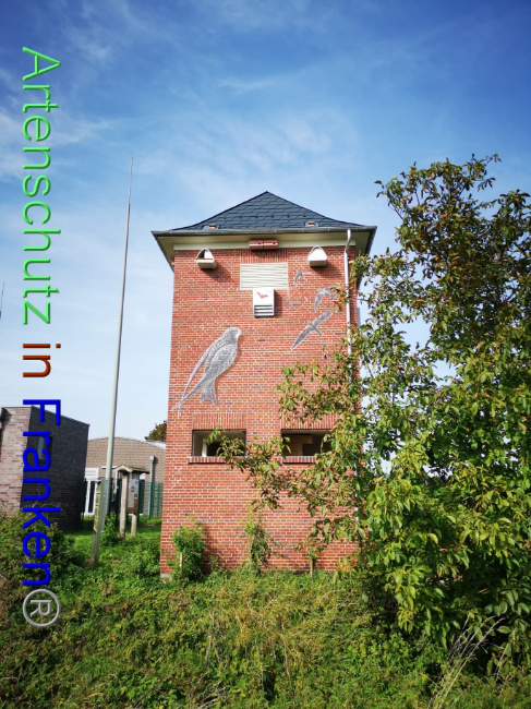 © Artenschutz in Franken® Bild zum Eintrag (1094284-160)