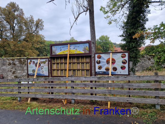 © Artenschutz in Franken® Bild zum Eintrag (1094310-160)
