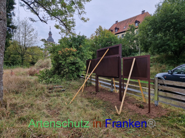 © Artenschutz in Franken® Bild zum Eintrag (1094314-160)