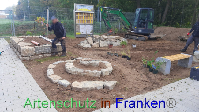 © Artenschutz in Franken® Bild zum Eintrag (1094318-160)