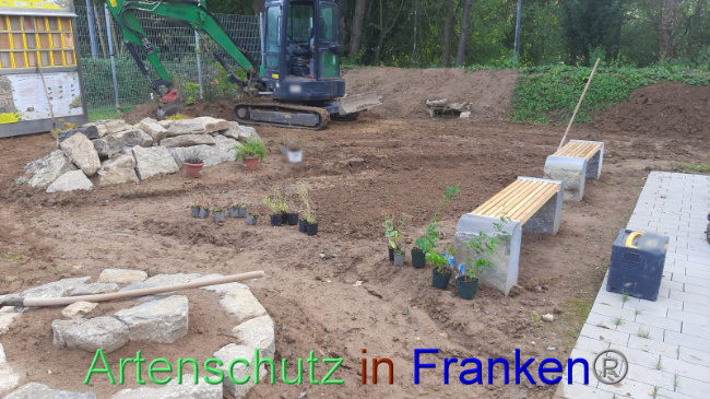 © Artenschutz in Franken® Bild zum Eintrag (1094321-160)