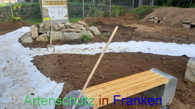 © Artenschutz in Franken® Bild zum Eintrag (1094324-160)