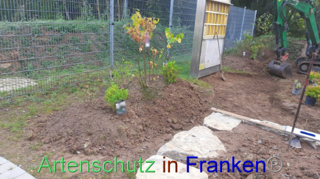 © Artenschutz in Franken® Bild zum Eintrag (1094325-160)