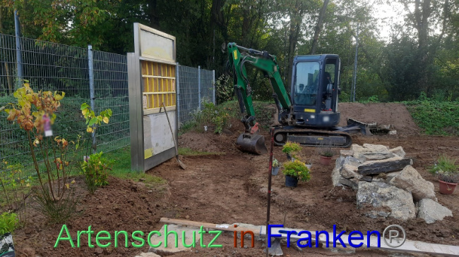 © Artenschutz in Franken® Bild zum Eintrag (1094326-160)
