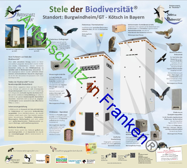 © Artenschutz in Franken® Bild zum Eintrag (1094366-160)