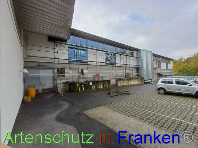 © Artenschutz in Franken® Bild zum Eintrag (1094376-160)