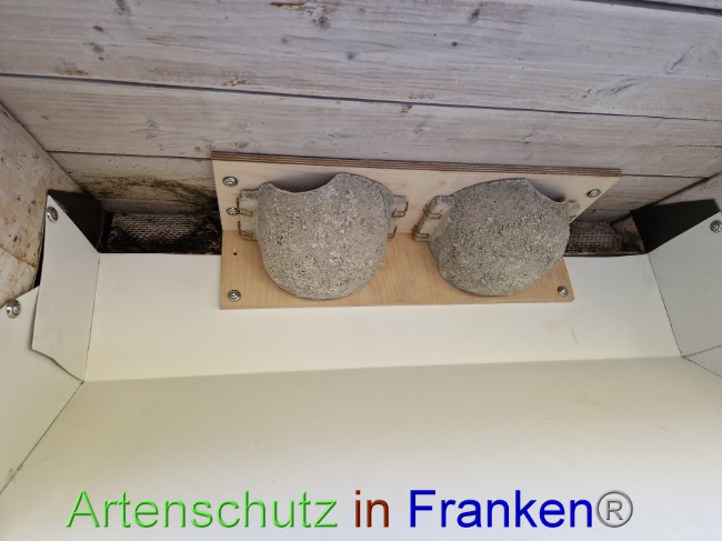 © Artenschutz in Franken® Bild zum Eintrag (1094396-160)