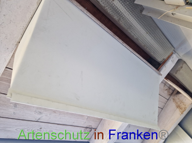 © Artenschutz in Franken® Bild zum Eintrag (1094397-160)